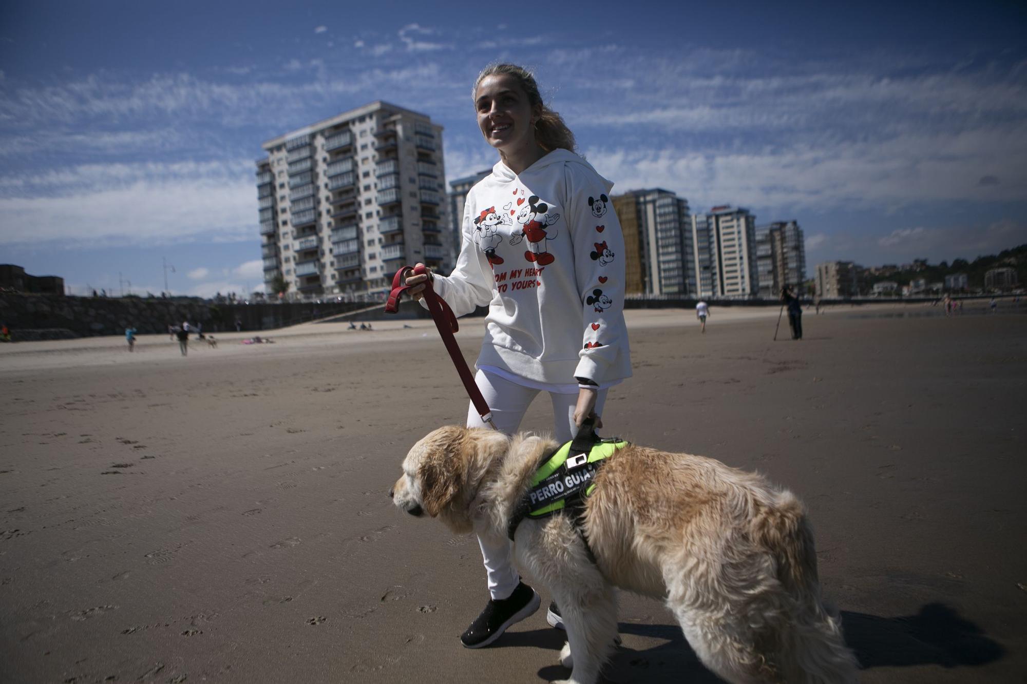 En imágenes: así fue el campeonato de surf para perros en Salinas