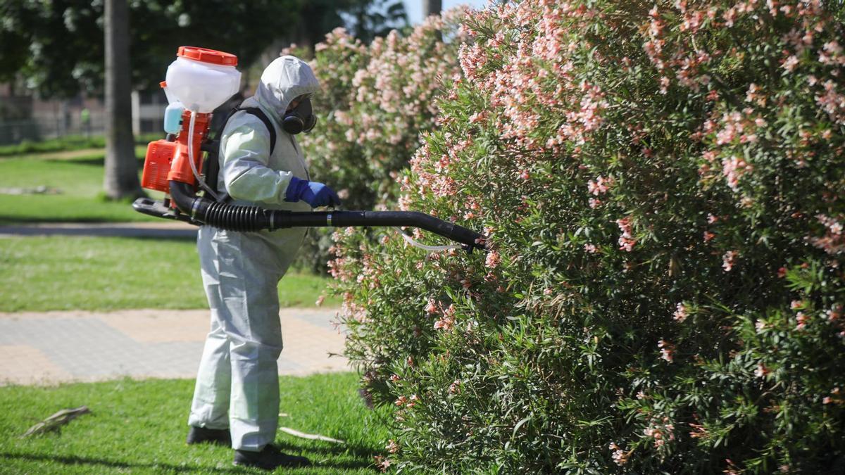 Un operario realiza labores de fumigación y el tratamiento de imbornales contra el mosquito para prevenir el virus del Nilo en una imagen de archivo.