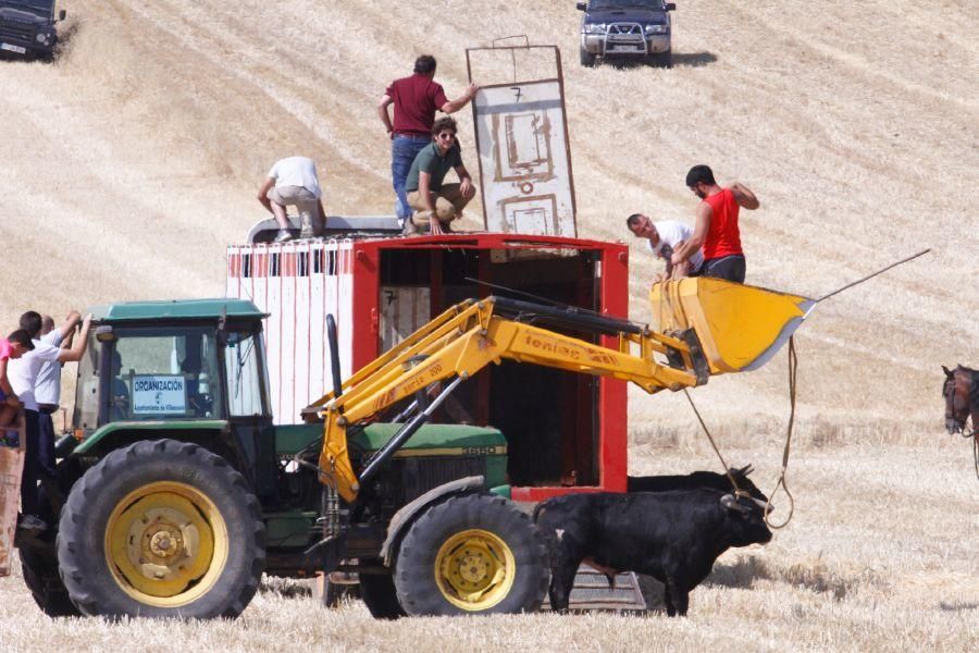 Fiestas en Zamora: Encierro campero en VIllaescusa