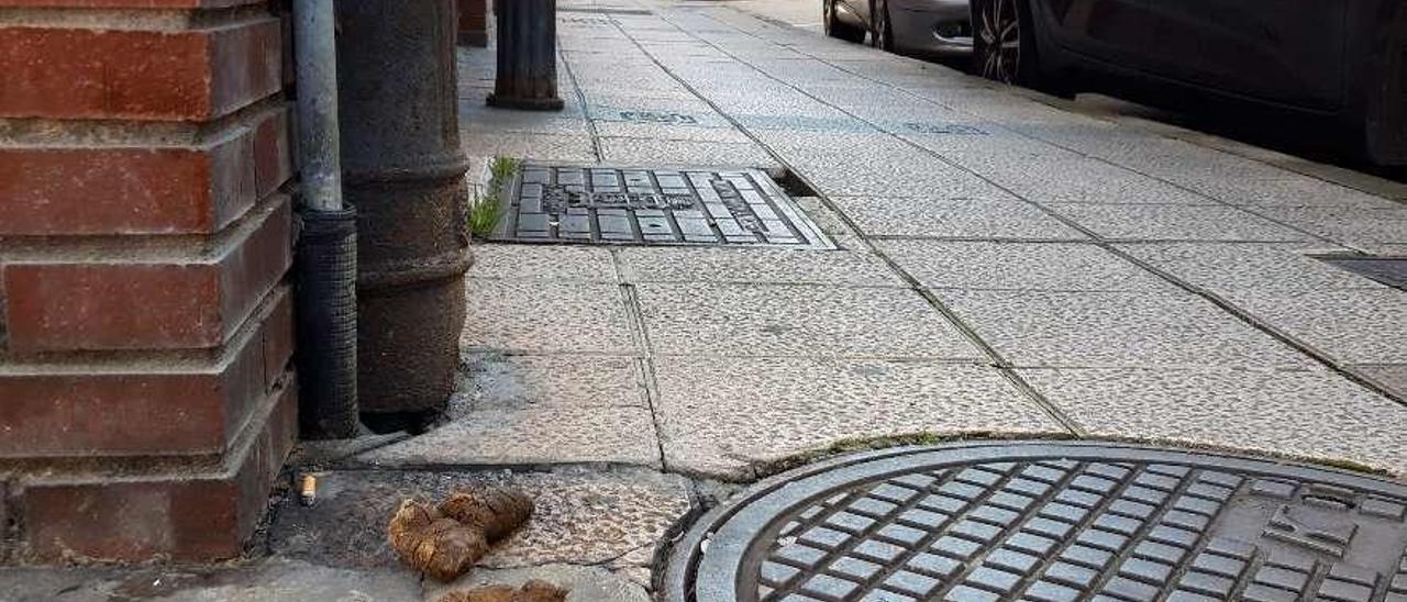 Excrementos de perro en una calle de La Felguera.