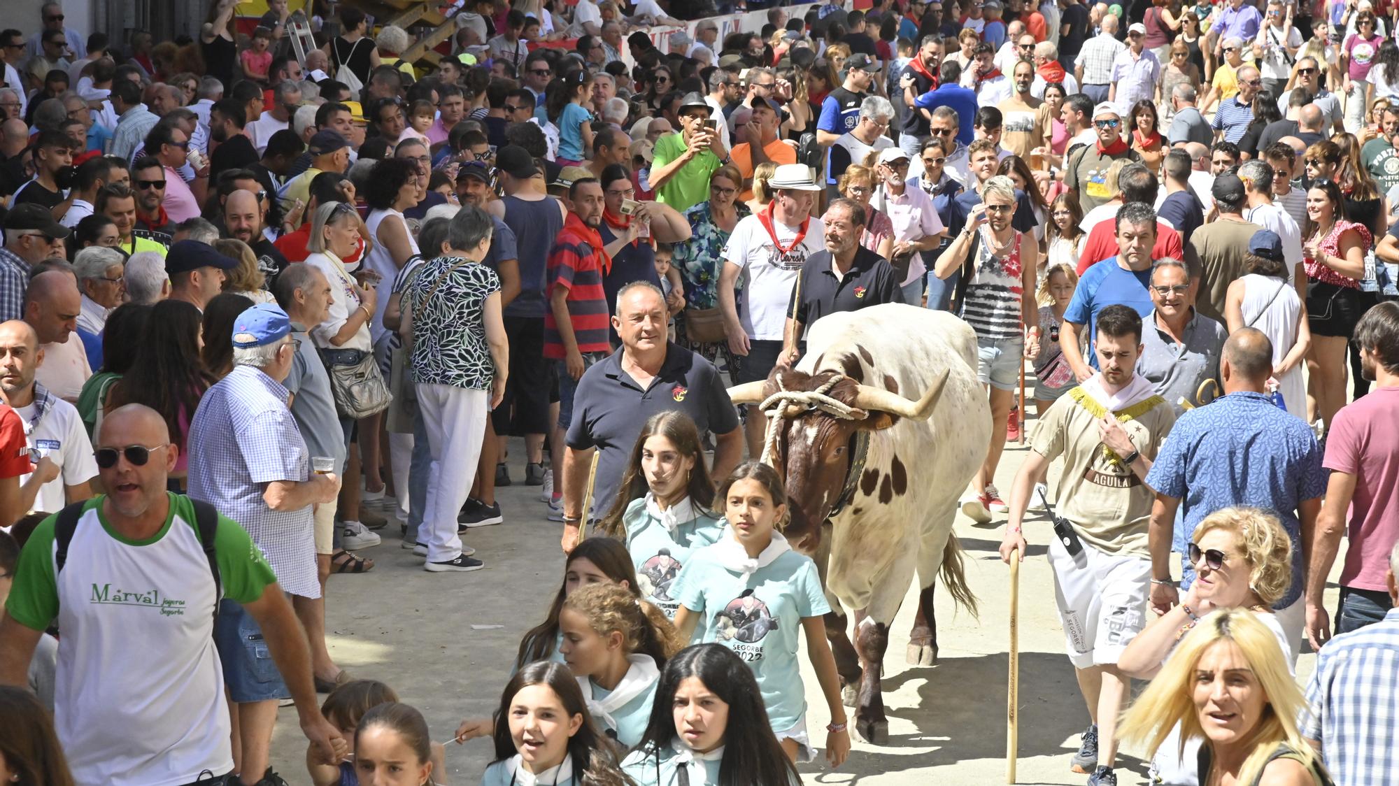 Las fotos de la cuarta Entrada de Toros y Caballos de Segorbe