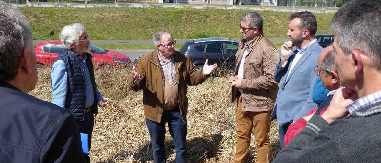 Tomás Díaz habla sobre el plumero en una finca en La Fresneda.