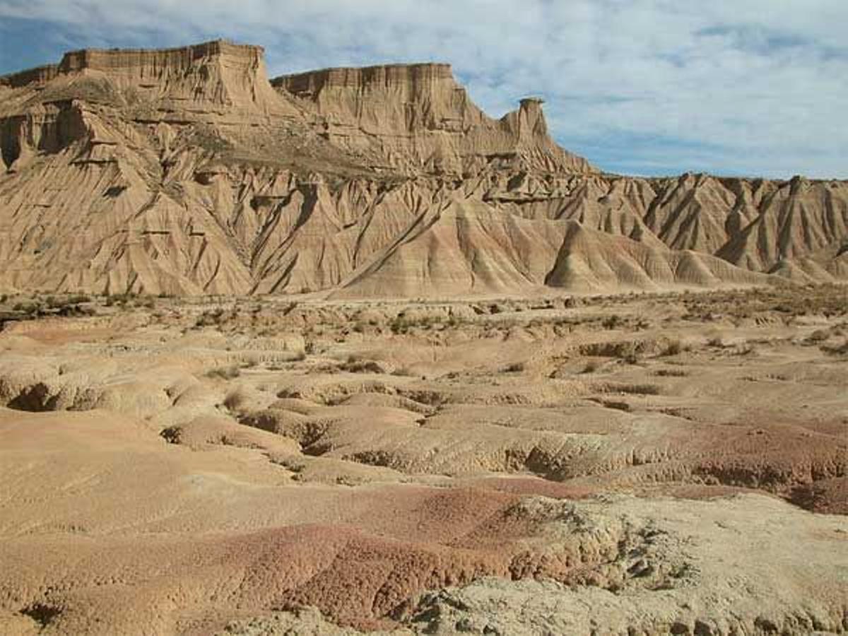 Bárdenas Reales