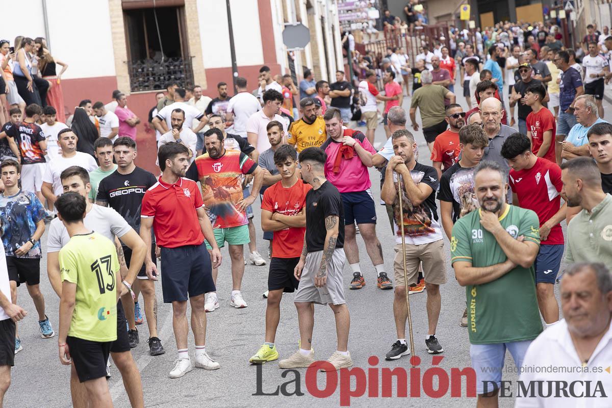 Fiestas de Moratalla/Séptimo encierro_015