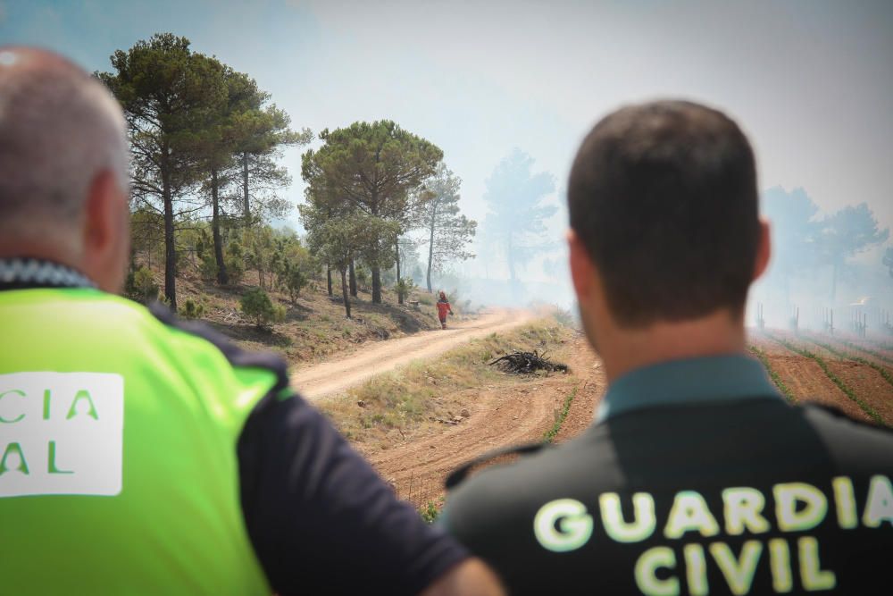 Imagen del incendio forestal en Bocairent
