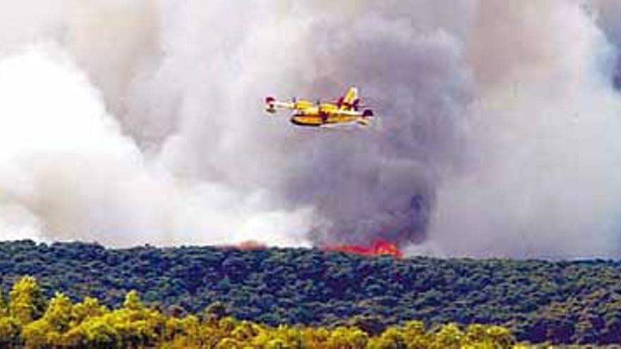 Un accidente de tráfico provoca un incendio en los pinares de Zuera