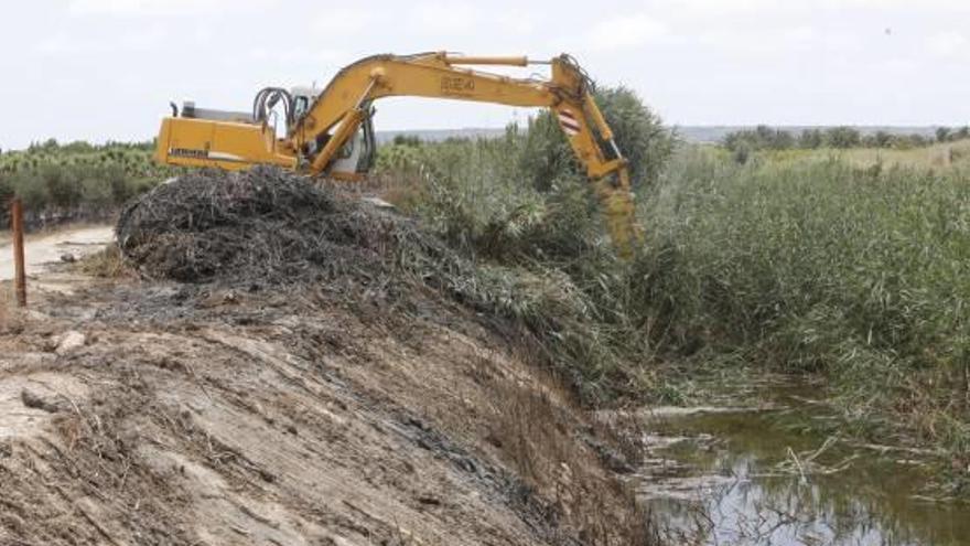 La máquina retroexcavadora, ayer, desbrozando el cauce del río en la zona de la Vereda de Sendres.