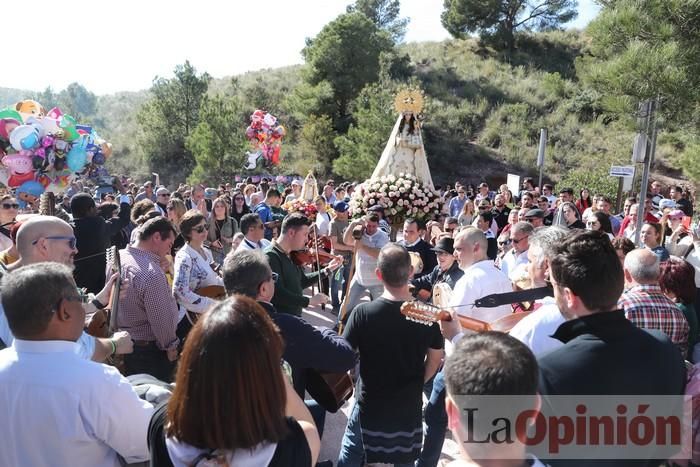 Romería de La Hoya (II)