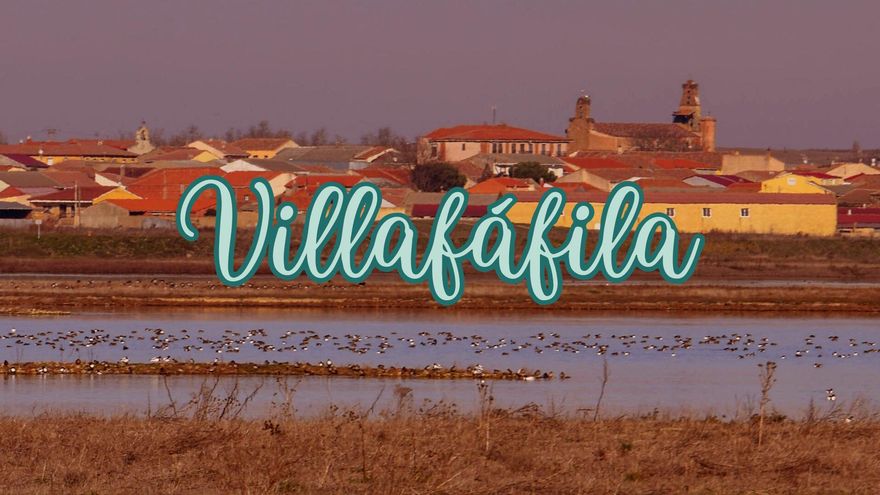 Fiestas en Villafáfila 2025 - Programa completo