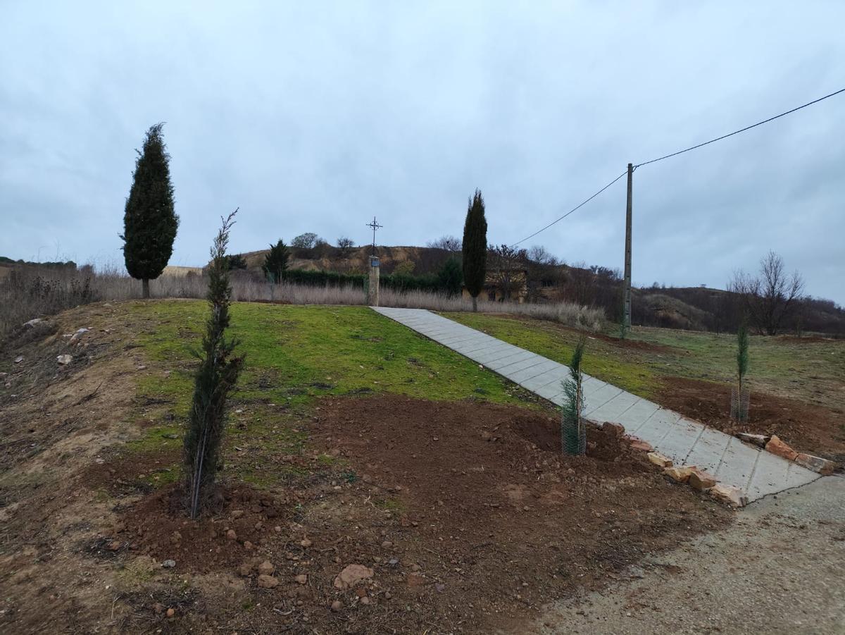 Plantaciones realizadas en Paladinos del Valle.