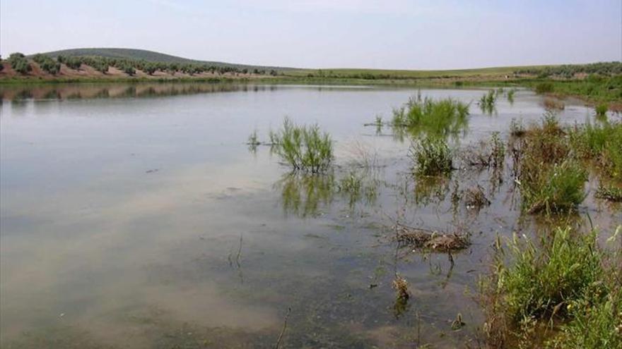 Un proyecto busca «revitalizar» el entorno de la Laguna del Donadío