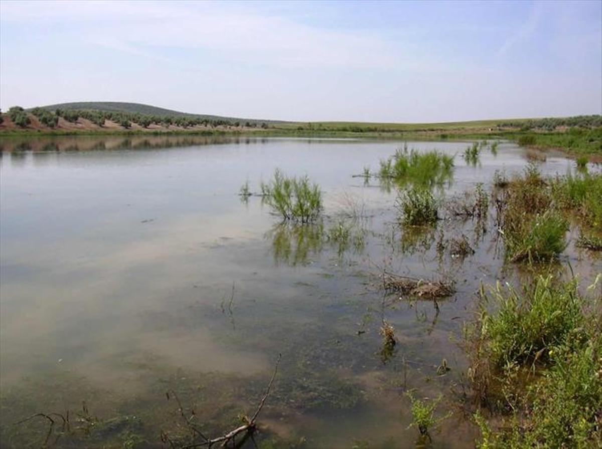 Un proyecto busca «revitalizar» el entorno de la Laguna del Donadío
