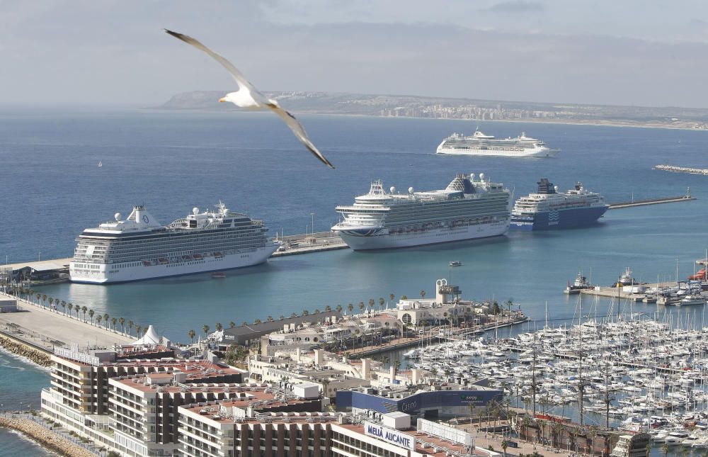 MAYO. Alicante recibe por primera vez cuatro cruceros en un mismo día