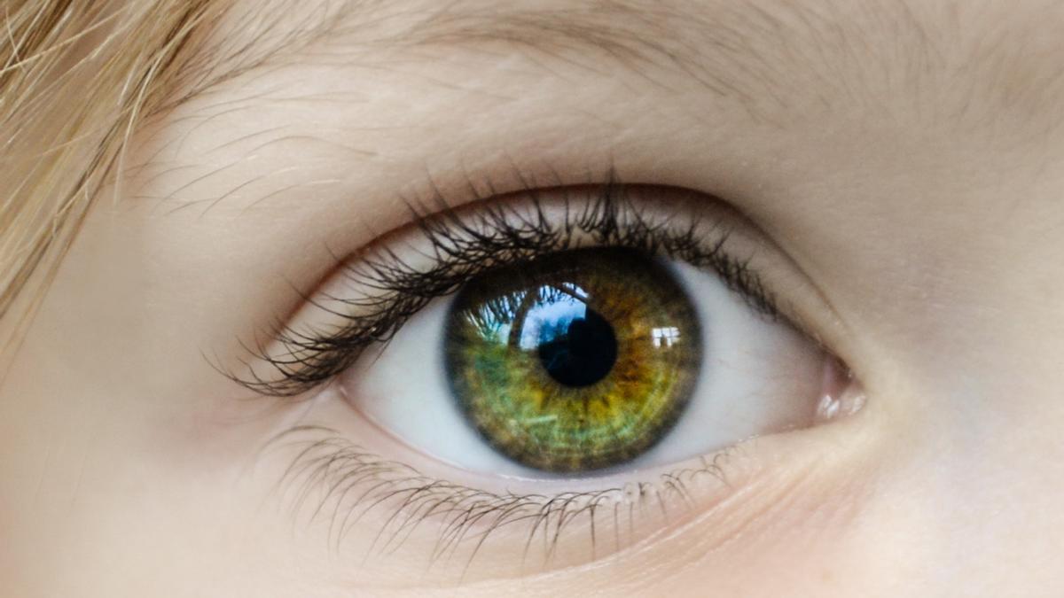 Alerta Sanitaria: retiran dos colirios para los ojos por presencia de micro cristales de principio activo