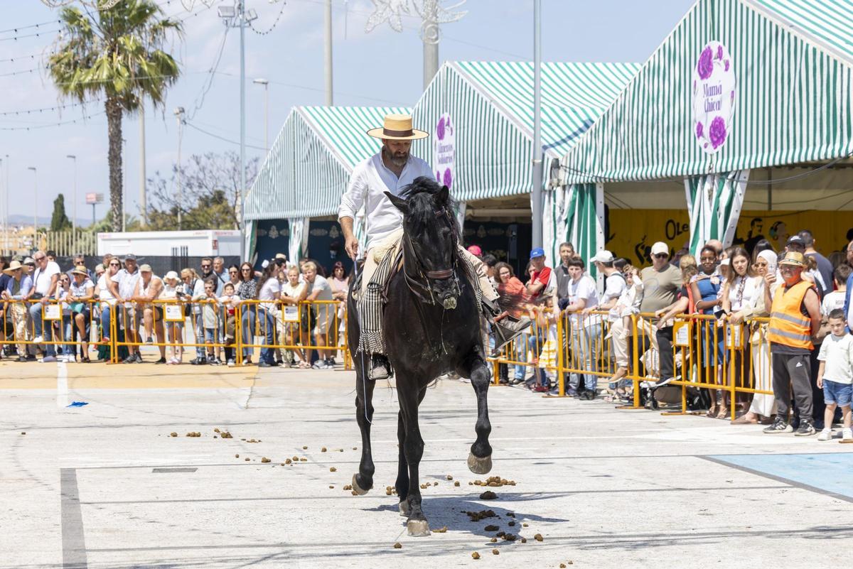 Desfile de carrozas y caballistas de la Feria de Mayo 2026 de Torrevieja este domingo