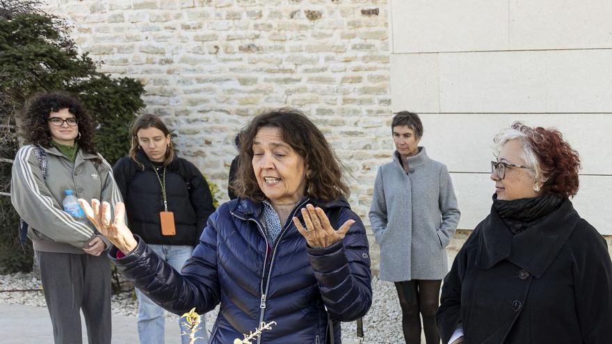 La UMH quiere convertir el campus de Elche en un jardín botánico