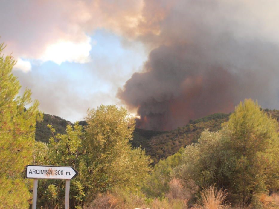 Incendio forestal en Artana