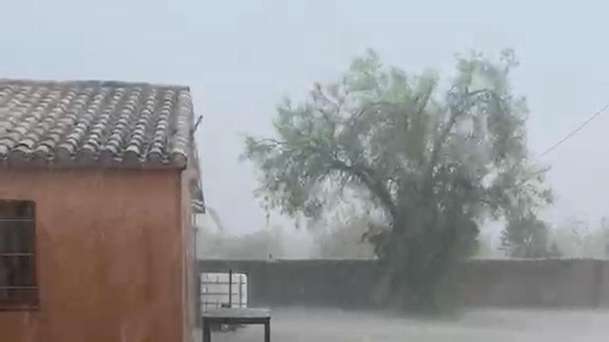 El granizo cayó con fuerza sobre zonas del norte regional el jueves 20 de agosto
