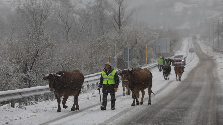 El temporal complica las comunicaciones en Asturias con Pajares cerrado para camiones, trenes cancelados y restricciones en el Huerna