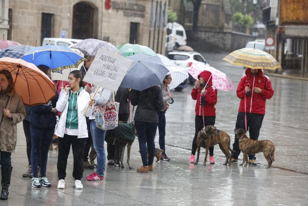 Concentración para reclamar un albergue de animales en Avilés