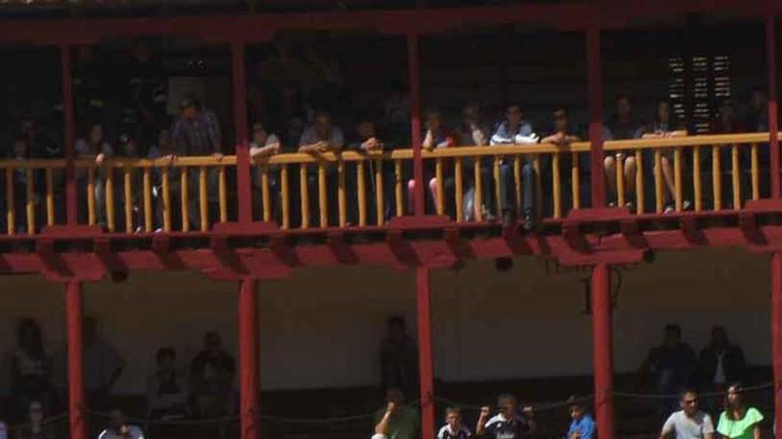 Exhibición canina en la plaza de toros