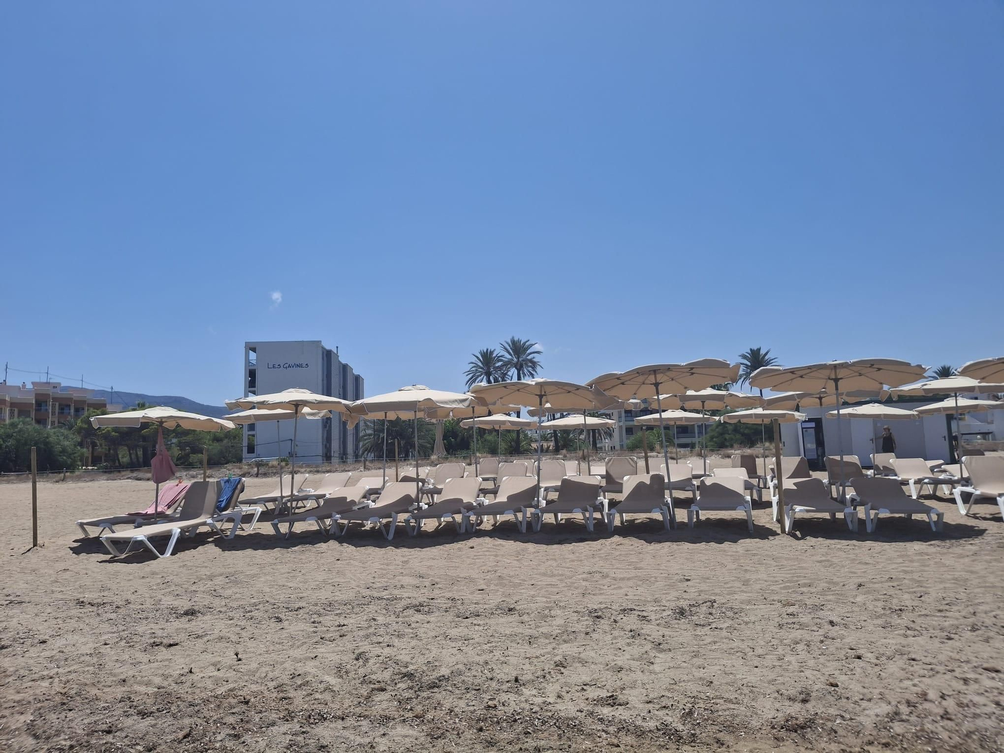 Insólito: playas vacías en Dénia (imágenes)