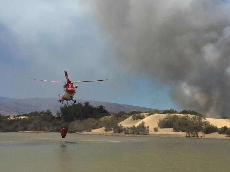 Incendio en las Dunas y Charca de Maspalomas