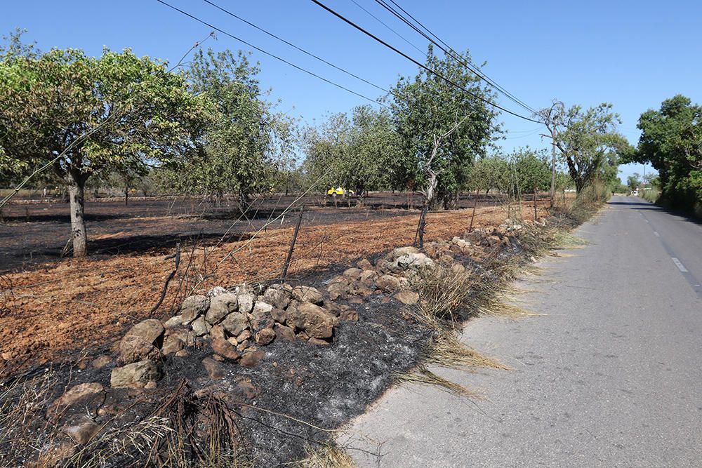 Controlado un incendio en el valle de Morna, en Sant Carles (Ibiza).