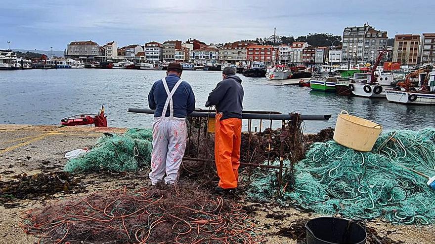 Limpieza de “miños” en el puerto de O Corgo. |   //  M.M.