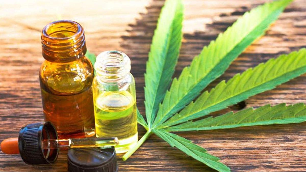 Aceite de cannabis para uso medicinal.