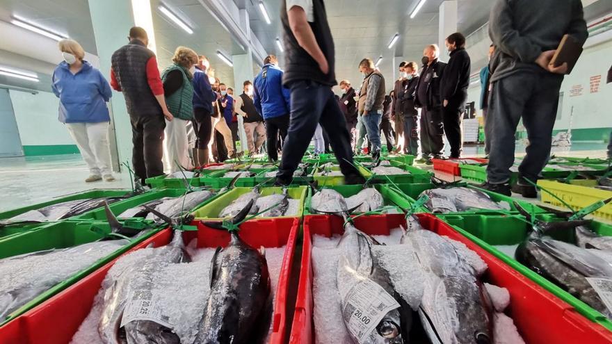 Subasta de pescado en la lonja de A Coruña. |   // LA OPINIÓN
