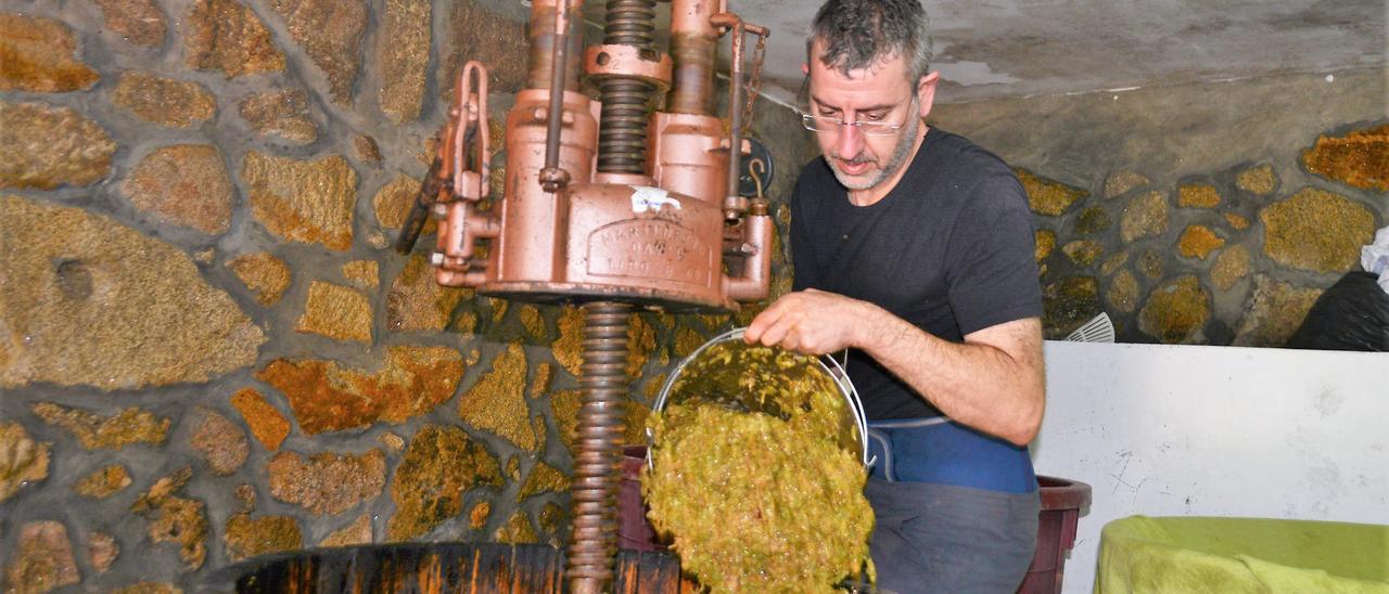 Un vecino arrojando uvas a la prensa en una bodega en Donón.