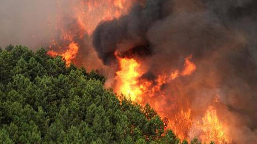 Los incendios y las hectáreas quemadas, prácticamente los mismos de 2012