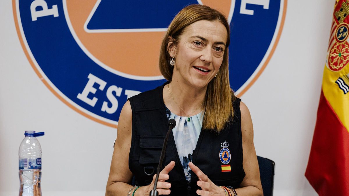 Barcones afirma que ninguna comunidad ha pedido al Gobierno decretar la emergencia nacional por los incendios