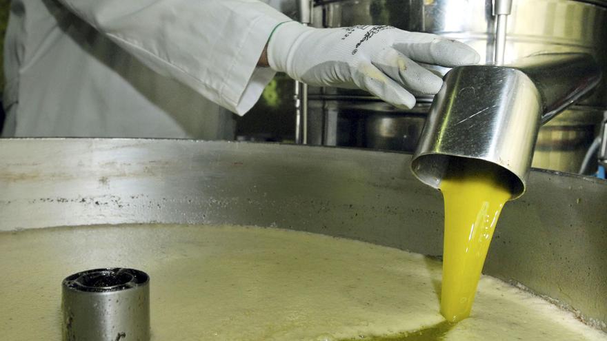 Extremadura eleva su producción de aceite de oliva hasta las 78.169 toneladas pese al retroceso nacional