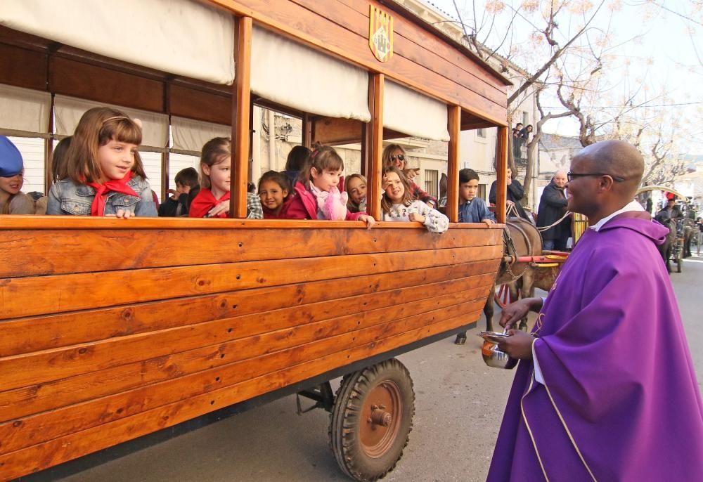 Festa de Sant Antoni de Sant Vicenç de Castellet