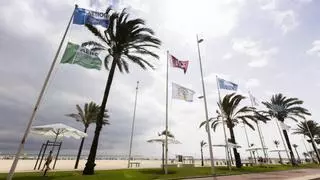 Un estudio relata por qué Gandia gana en competitividad turística y ya está al nivel de Benidorm