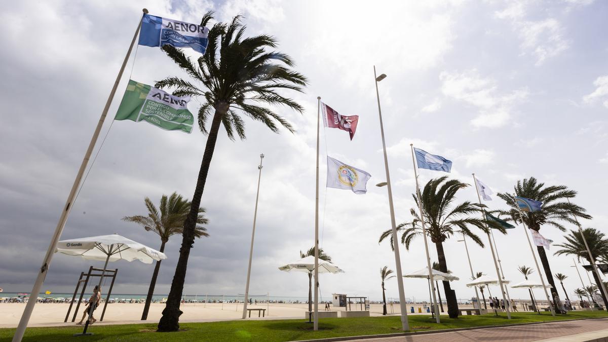 Las banderas de excelencia turística que ondean en la playa Nord de Gandia