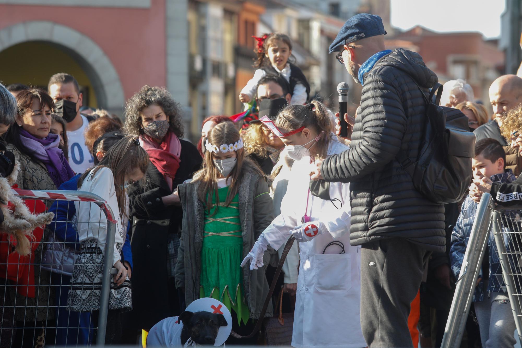 El domingo de Antroxu en Avilés: perros y coches, disfrazados