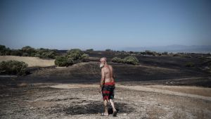 José Manuel, vecino de Méntrida, pasea por su terreno afectado por el incendio.