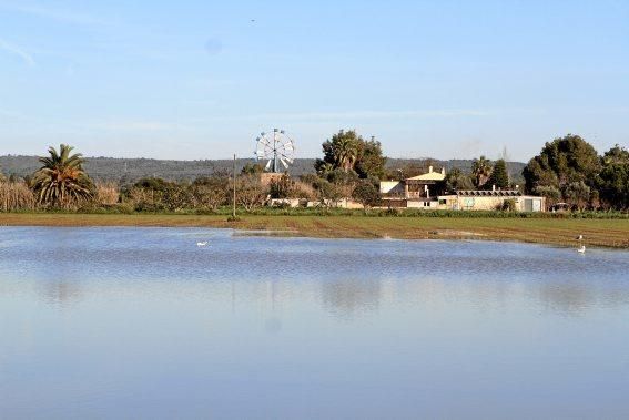 In dem kleinen Dorf in der Nähe des Flughafens von Mallorca steht das Wasser - und fließt seit Dezember nicht ab. Die Anwohner beklagen die Untätigkeit der Politik.