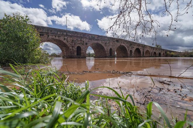 Fotogalería | El Guadiana y el Puente Romano de Mérida: belleza pura