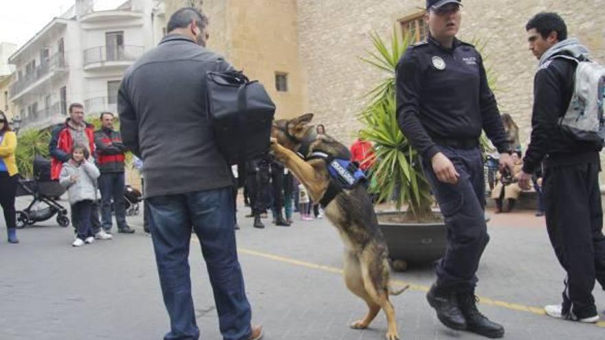 La perra que integra la unidad, durante la exhibición, inspeccionó mochilas en busca de sustancias.