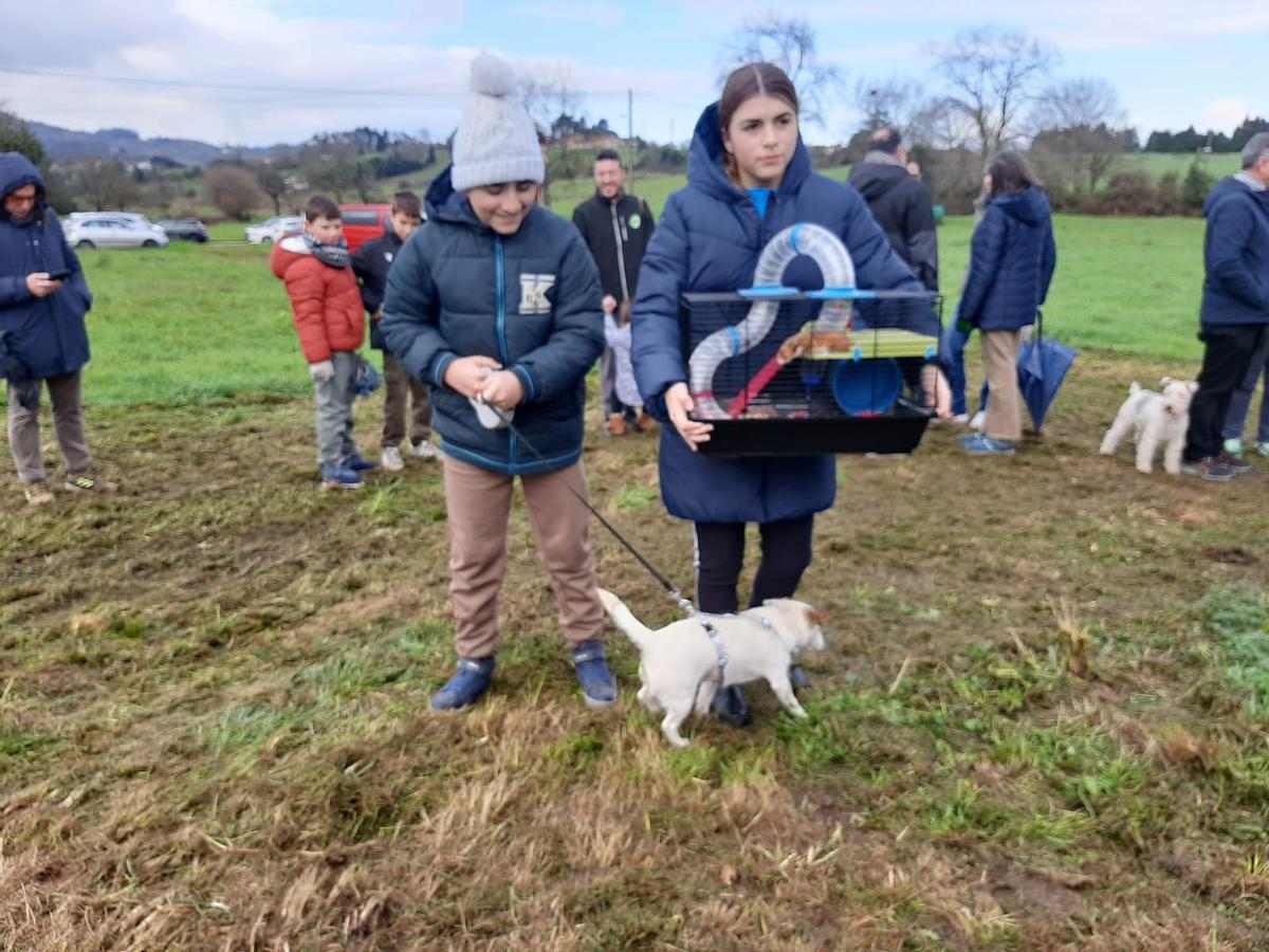 Robledo, en Llanera, bendice a sus mascotas por San Antón