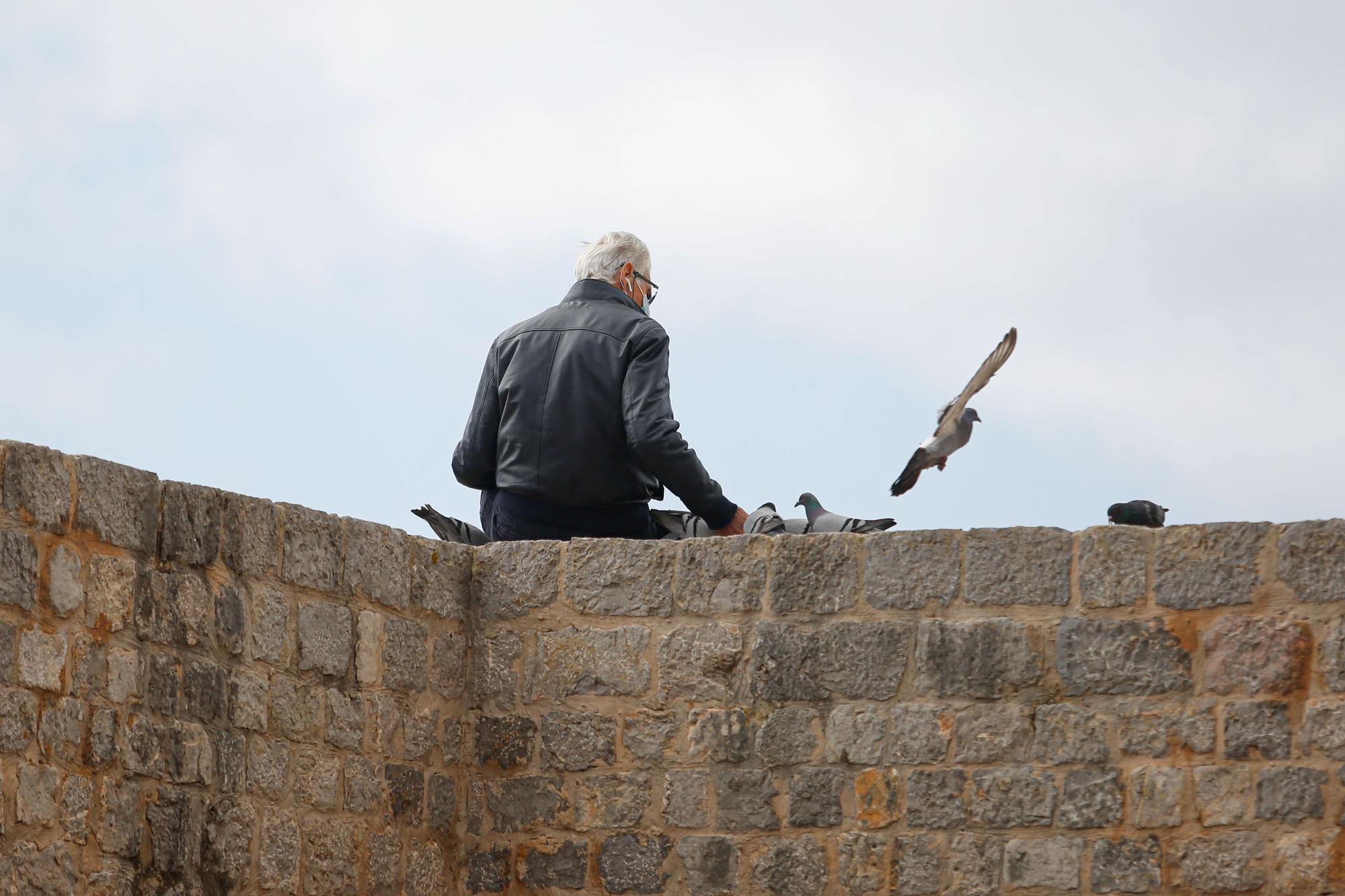 Los residentes de Ibiza descubren Dalt Vila