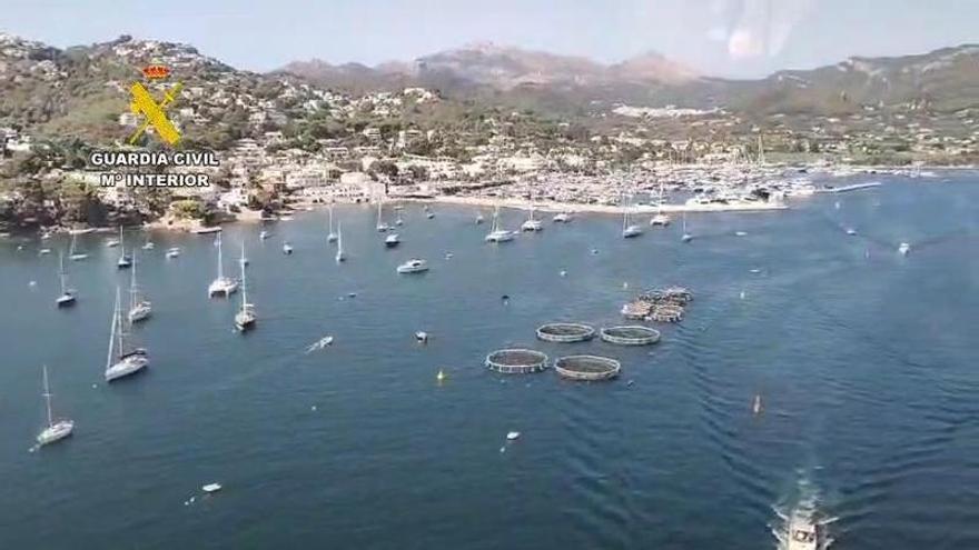 Die Küste voller Boote: So haben die Menschen auf Mallorca die Sonnenfinsternis auf dem Meer beobachtet