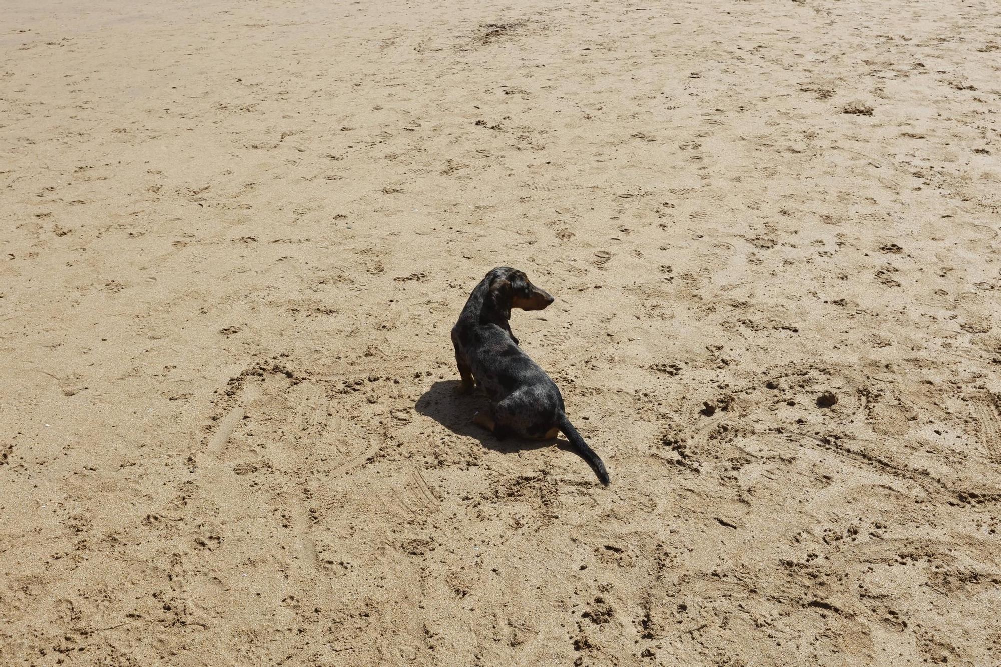 Ambiente playero en Gijón tras otra jornada de sol y calor (en imágenes)