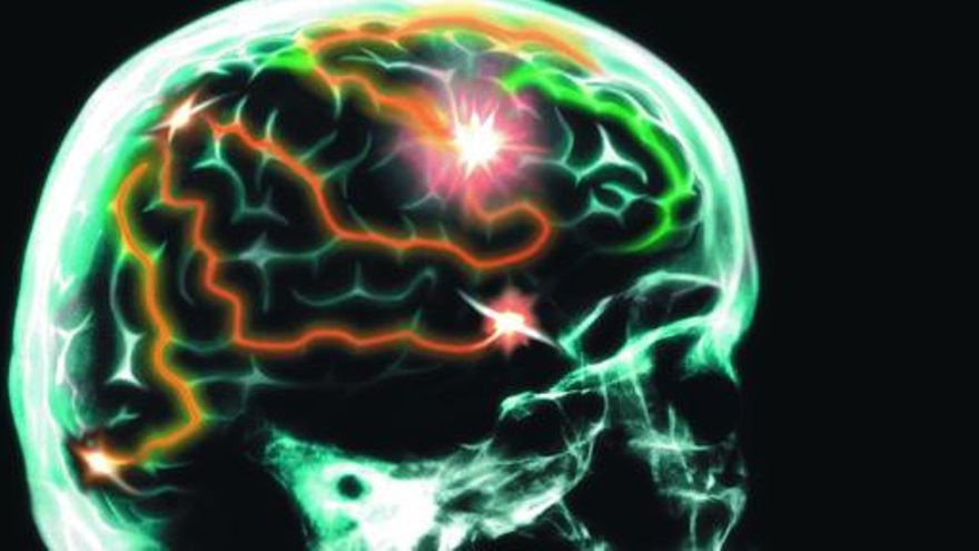 Así Aprende El Cerebro La Adicción A La Cocaína Así Aprende El Cerebro La Adicción A La Cocaína