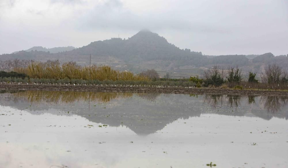 Segundo día del  Temporal Gloria en la Vall d'Albaida, la Costera y la Canal de Navarrés