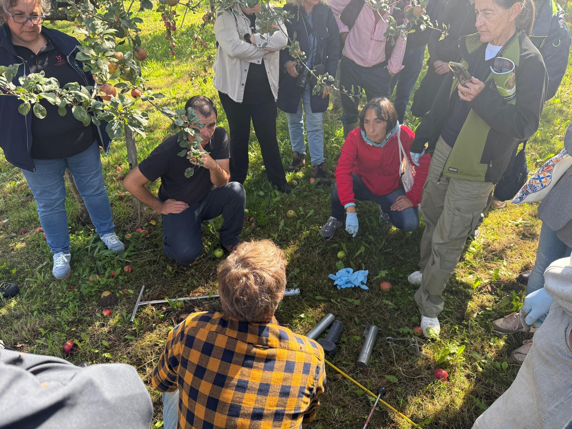 El SERIDA explica sobre el terreno las medidas de protección contra las plagas de roedores en pomaradas